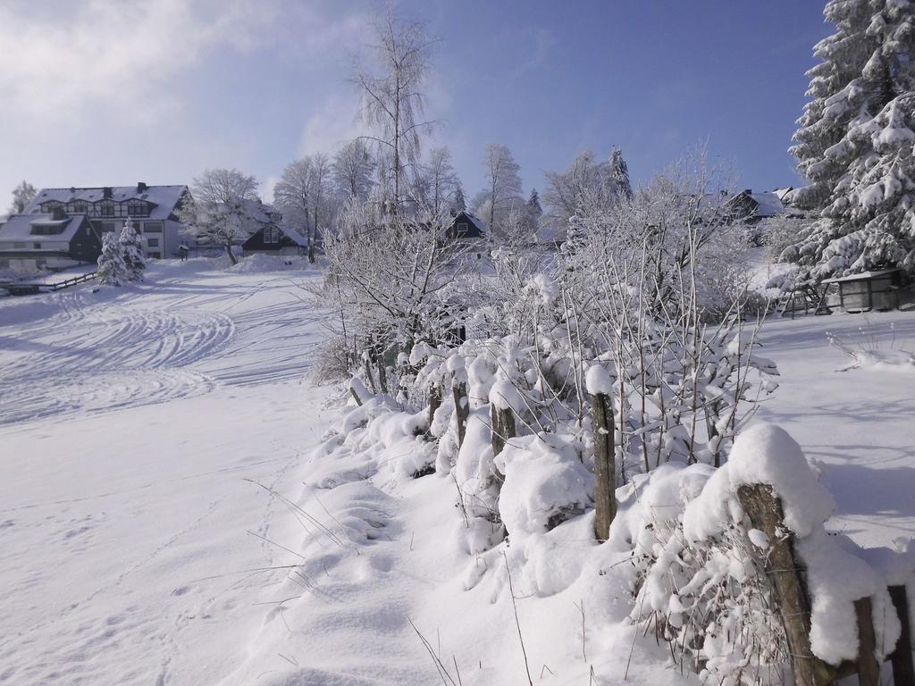 Apartment In Langewiese Sauerland With Garden Winterberg Esterno foto