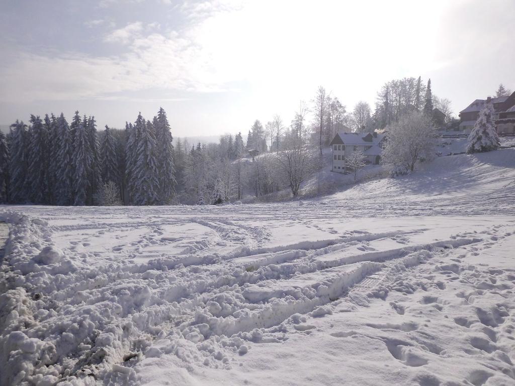 Apartment In Langewiese Sauerland With Garden Winterberg Esterno foto